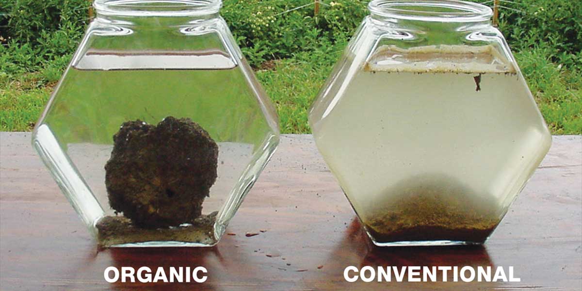 L'agricoltura biologica limita l'impatto del cambiamento climatico